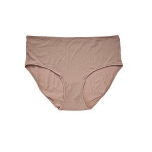 Skims plus size brief Nwt
